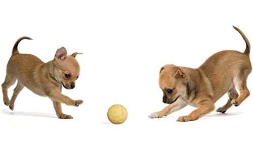 Snug Rubber Dog Balls for Small and Medium Dogs - Tennis Ball Size - Virtually Indestructible (3 Pack - Hot) - color: Hot
