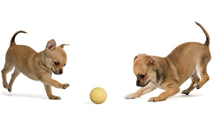Snug Rubber Dog Balls for Small and Medium Dogs - Tennis Ball Size - Virtually Indestructible (3 Pack - Hot) - color: Hot