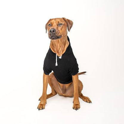 Happy Camping Dog Hoodie | Fleece Lined |Leash Hole| Summer | Outdoors | Travel | Hike|Black, Small 278 - color: Black-Hoodie, size: Small (3-8 lbs)