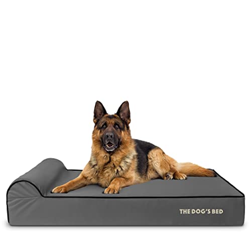 The Dog’s Bed Orthopedic Memory Foam Dog Bed with Headrest, Calming Surface – CertiPUR-Certified Foam, Oxford Fabric, Grey with Black Trim, XL, 6-Inch - color: Grey with Black Trim, size: XL (6" deep)