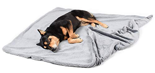 Grey Large Dog Blanket, Super Soft Fluffy Sherpa Fleece Dog Couch Blankets and Throws for Large Medium Small Dogs Puppy Doggy Pet Cats, 50x60 inches - color: Dark Grey