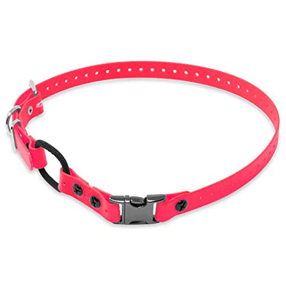Educator 3/4-Inch Dog Training Collar Strap ONLY Fits ME-300 ET-300/400 EZ-900 PE-900 PG-300 Receivers NOT FE-580 ET-800 UL-1200 Quick Snap Biothane Bungee Collar 33 Inch, Pink - color: Pink