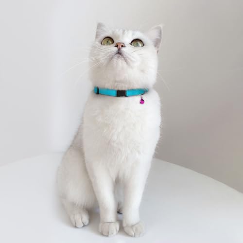 Breakaway Cat Collar Leather with Removable Bell - 13 Colors Available - Soft Adjustable Girl Boy Safety Lightweight Pet Kitten Collars Pink Brown Blue Green Red Orange Black (Emerald) - color: Emerald