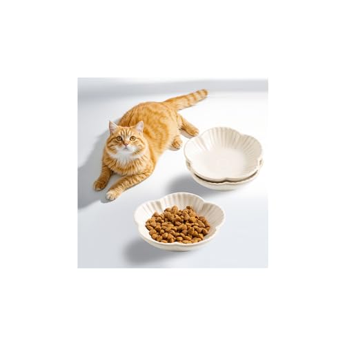 Cat Food Bowls, Ceramic Cat Plates, Dish for Food, Water and Snack, 4.72 Inch, Indoor and Outdoor Use, Kitten Puppy and Small Animals Bowls Set of 3 (White) - color: white