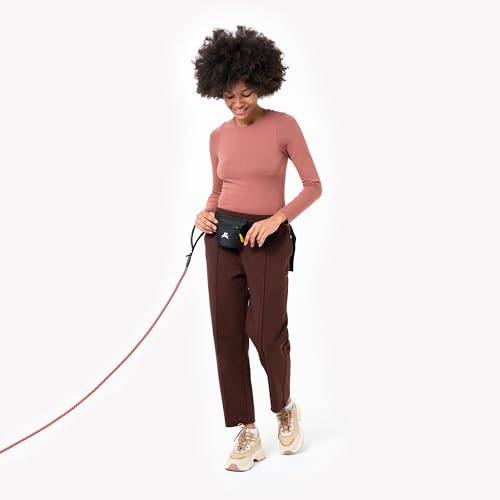 OllyDog Goodie Treat Bag, Dog Treat Pouch, Waist Belt Clip for Hands-Free Training, Magnetic Closure, Dog Training and Behavior Aids, Three Ways to Wear (Raven S'25) - color: Raven S'25