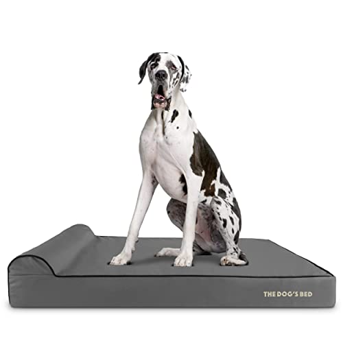 The Dog’s Bed Orthopedic Memory Foam Dog Bed with Headrest, Calming Surface – CertiPUR-Certified Foam, Oxford Fabric, Grey with Black Trim, XXL, 6-Inch - color: Grey with Black Trim, size: XXL (6" deep)