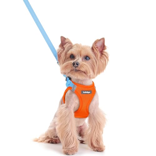 rabbitgoo Dog Harness Small Sized and Leash Set, Step in Soft Light Puppy Vest, Breathable Mesh Pet Harness, Reflective for Safe Easy Walking, Blue & Orange XXS - color: Blue & Orange, size: Xxs (chest: 12.4 - 14.2")