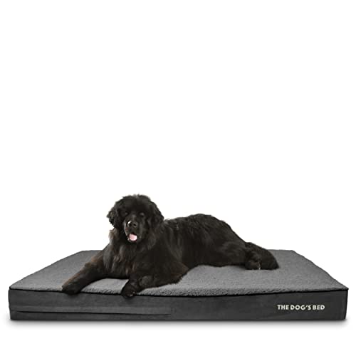 The Dog’s Bed Orthopedic Memory Foam Dog Bed for XXXL Dogs, Waterproof Washable Cover, Anti-Slip Base, Calming Surface – CertiPUR-Certified Foam, Grey Plush, 6 Inch Thick - color: Grey Plush, size: XXXL Beds (6" deep)