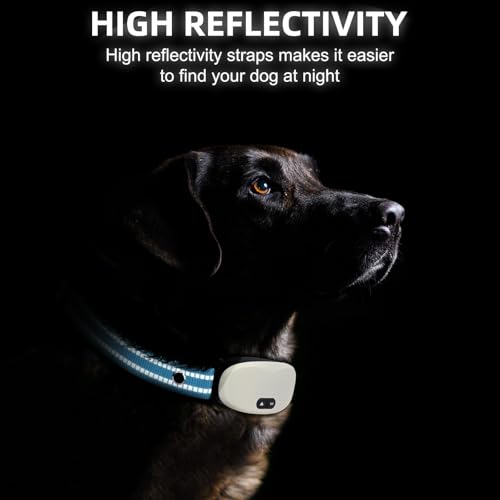 Collar Replacement Strap, Reflective Replacement Nylon Collar Strap Dog GPS Training Bark Receiver Collars, Durable Adjustable E Collar Straps for Small Medium Large Dogs, Blue - color: Blue