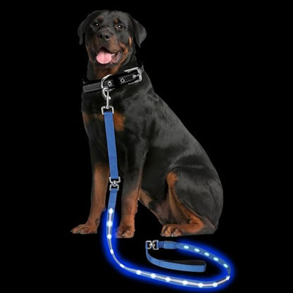 Light up Dog Leash for Night Walking - USB C Rechargeable - Waterproof - Dog Leashes with Flashlight - LED Leash for Dogs - 6Ft, Blue - color: Blue