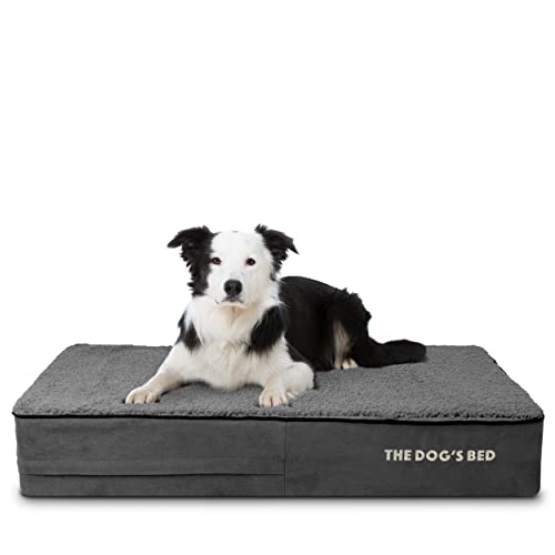 The Dog’s Bed Orthopedic Memory Foam Dog Bed for Large Dogs, Waterproof Washable Cover, Anti-Slip Base, Calming Surface – CertiPUR-Certified Foam, Grey Plush, 6 Inch Thick - color: Grey Plush, size: Large Beds (6" deep)