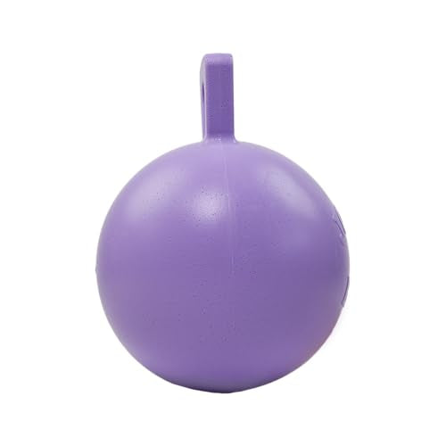 Jolly Pets Tug-n-Toss Heavy Duty Dog Toy Ball with Handle, 10 Inches/X-Large, Light Purple - color: Light Purple, size: XL (10 in)