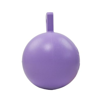 Jolly Pets Tug-n-Toss Heavy Duty Dog Toy Ball with Handle, 10 Inches/X-Large, Light Purple - color: Light Purple, size: XL (10 in)