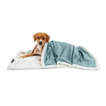 Best Friends by Sheri Premium Self-Warming Ilan Microfiber Faux Fur Pet Throw Blanket 40x50 in Tide Pool - color: Tide Pool