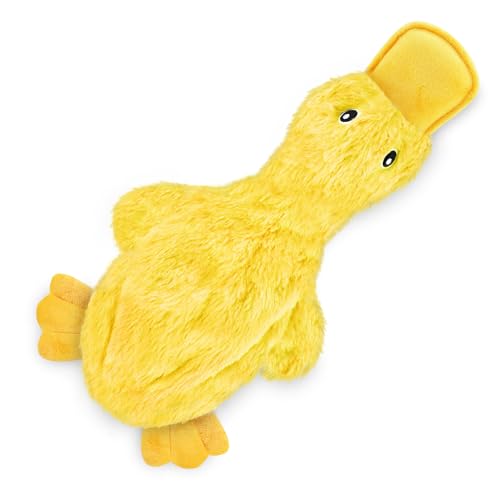 Best Pet Supplies Interactive Squeaky Dog Chew Toy, Ideal Dog Toys for Chewers, Small, Medium & Large Dogs, and Fetch Lovers - Crinkle Duck (Yellow), Large - color: Crinkle Duck (Yellow), size: Large