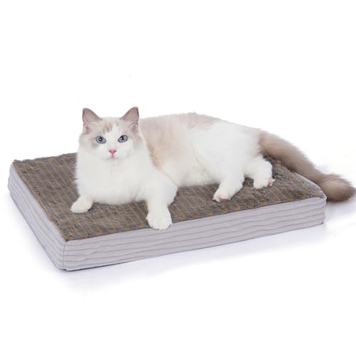 Self Warming Cat Bed Self Heating Cats Puppies Mat Pet Pad for Indoor Outdoor Pets with Non-Slip Bottom Washable (20x16 Inch) - size: 20x16 Inch
