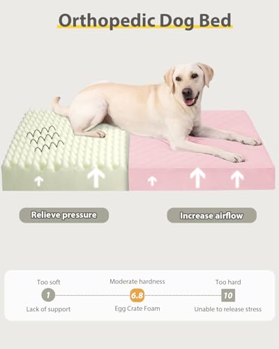 NUPIDA Orthopedic XL Dog Beds Large Sized Dog Waterproof Pet Kennel Pad with Removable Washable Cover and Non-Slip Bottom, 41x27 Inch, Pink - color: Pink, size: 41.0"L x 27.0"W x 3.5"Th