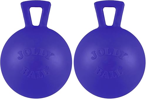 Jolly Pets Tug-n-Toss Heavy Duty Dog Toy Ball with Handle, 4 Inches/Petite, Blue (404 BL),Small Breeds (Pack of 2) - color: Blue, size: 4 in/Petite (Pack of 2)