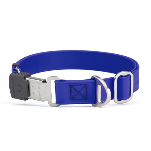 Biothane Waterproof Durable Dog Collar with Herm Sprenger - Quick Release ClicLock Buckle - Fits Medium and Large Dogs - Made in USA (Blueberry Royal, W 1" x L 15"-25") - color: Blueberry Royal, size: W 1" x L 15"-25"