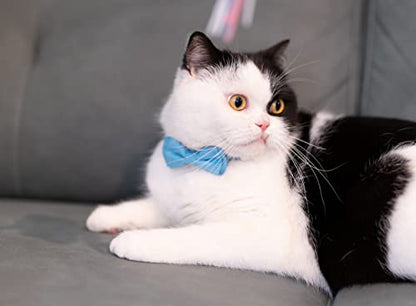 Cat Collar with Bow Tie Bell Breakaway Kitten Small Pet Safety Solid Wedding Basic Pure Color Suede Soft Adjustable [1pc] Khaki - color: [1pc] Khaki