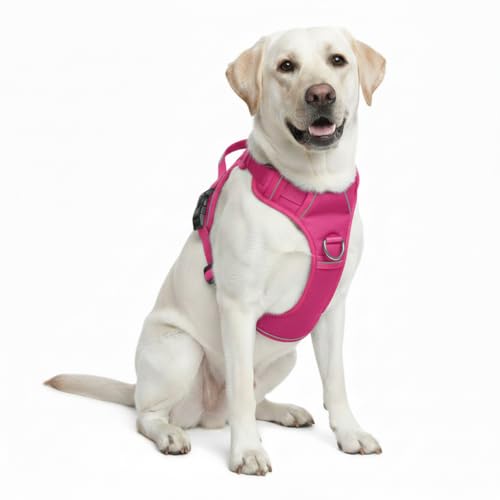 No Pull Dog Harness with 2 Leash Clips, Adjustable Soft Padded Reflective Oxford Pet Vest with Easy Control Handle for Large Dogs (Fuchsia, Large) - color: Fuchsia, size: Large