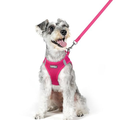 rabbitgoo Dog Harness Small Medium Sized and Leash Set, Step in Soft Light Puppy Vest, Breathable Mesh Pet Harness, Reflective for Safe Easy Walking, Rosa Red XL - color: Rose Red, size: Xl (chest: 20 - 21.8")