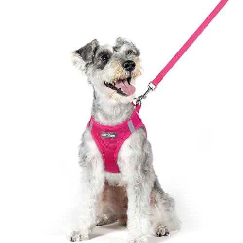 rabbitgoo Dog Harness Small Medium Sized and Leash Set, Step in Soft Light Puppy Vest, Breathable Mesh Pet Harness, Reflective for Safe Easy Walking, Rosa Red XL - color: Rose Red, size: Xl (chest: 20 - 21.8")