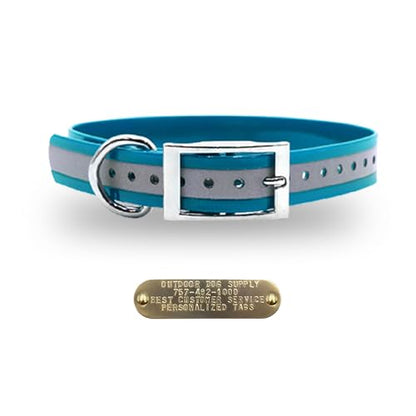 Outdoor Dog Supply Personalized 1" Reflective Teal Extra Long D-Ring Dog Collar with Custom 3/4" Brass Nameplate | Waterproof, Odor-Resistant, Adjustable for Large and Giant Breed Dogs - color: Teal