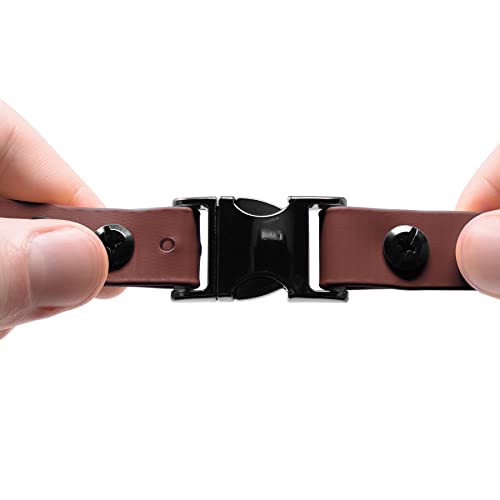 Educator 3/4-Inch Dog Training Collar Strap–ONLY Fits ME-300, ET-300/400, EZ-900, PE-900 & PG-300 Receivers – NOT Compatible with FE-580, ET-800 or UL-1200–Quick Snap Biothane Bungee Collar, Brown - color: Brown