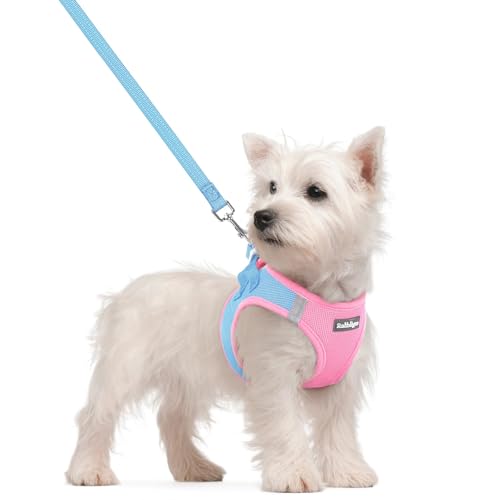 rabbitgoo Dog Harness Small Sized and Leash Set, Step in Soft Light Puppy Vest, Breathable Mesh Pet Harness, Reflective for Safe Easy Walking, Blue & Light Pink S - color: Blue & Light Pink, size: S (chest: 15.1 - 16.5")