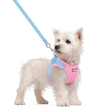 rabbitgoo Dog Harness Small Sized and Leash Set, Step in Soft Light Puppy Vest, Breathable Mesh Pet Harness, Reflective for Safe Easy Walking, Blue & Light Pink S - color: Blue & Light Pink, size: S (chest: 15.1 - 16.5")