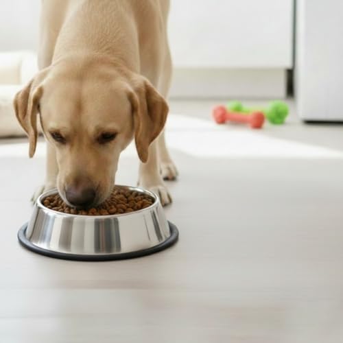 Loving Pets Stainless Steel Non-Tip Dog Bowl – Heavy Duty No Spill Dog Bowl with Removable Rubber Base – Durable, Non-Skid Stainless Steel Dog Food Bowl & Dog Water - size: 64 Ounce