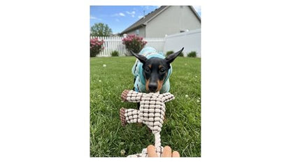 White Goat Dog Squeak Plush Toy with Rope – Durable Stuffed Dog Toy with Built-in Squeaker, Interactive Chew Toy for Teething Puppy, Small and Medium Dog - color: White Goat