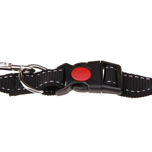 39.30Inch Bungee Dog Leash Waist,Hands Free Dog Leash Slip for Walking Hiking Running (Lumbar Waist Belt 26"-43")