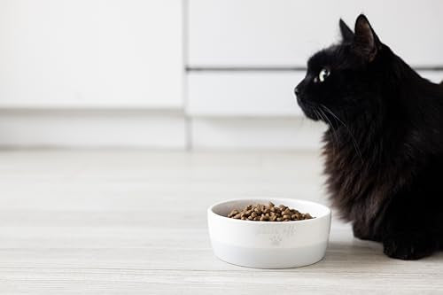 Pearhead Ceramic Paws Off Cat Bowl, Holds 12 oz, Whisker-Friendly Pet Dish for Food and Water, Heavy Non-Slip Base - color: Gray "Paws Off", size: Single Bowl