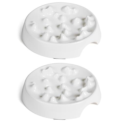 CatGuru Cat Bowls, Whisker Friendly Food Bowl for Indoor Cats, Reliefs Whisker Fatigue, Wide Kitten Dish, Non Slip Pet Dishes, Shallow Pet Plates - color: Marshmallow, size: Slow Feeder - Set of Two