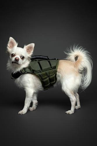 NOAH & PAW Dog Life Jacket, Human Standards Lifejacket Design, Dog Life Vest for Swimming and Boating, 3X Foam Support for Max Floating, Breathable Mesh, Salvavidas para Perros, Size XS - size: XS