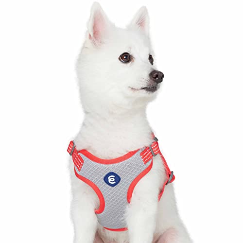 Blueberry Pet Essentials Back to Basics Reflective Dog Harness Vest, Fiery Red, Small, Adjustable Harnesses for Dogs - color: Fiery Red, size: Small (Pack of 1)