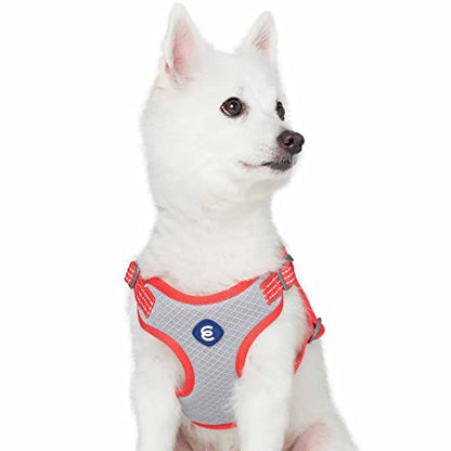Blueberry Pet Essentials Back to Basics Reflective Dog Harness Vest, Fiery Red, Large, Adjustable Harnesses for Dogs - color: Fiery Red, size: Large (Pack of 1)