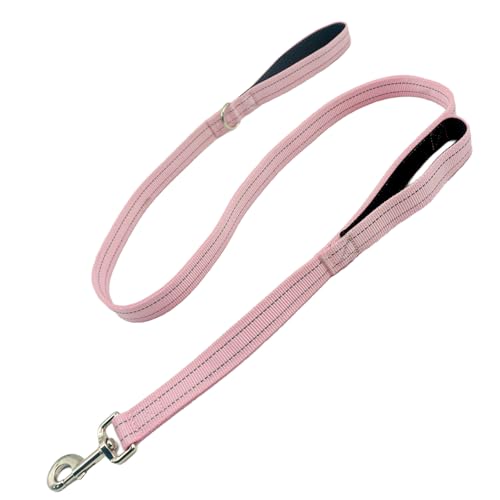 Dual Padded Handle Standard Dog Leashes with Reflective Stitching,360° Rotatable Heavy Duty Metal Buckle,D-Ring,Durable Nylon,for Medium Sized Dogs from 20 to 60 Pounds Walking and Training Pink 5Ft - color: Pink, size: 5Ft