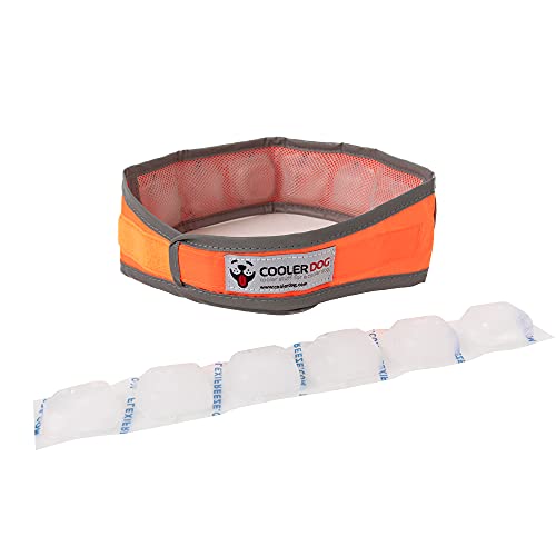 CoolerDog Hi-Vis Cooling Dog Collar for Large Dogs – Reflective Re-Freezable Ice Collar for Hot Weather & Heat Relief (Orange, Large) - size: Large
