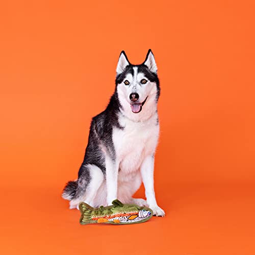 Fringe Studio Plush Dog Toy, Durable, Catch of The Day, Wagsdale Dog Toy Collection (729055) - color: Catch of the Day