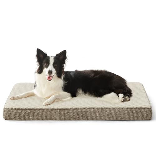 JOEJOY Orthopedic Dog Bed for Large Dogs, Washable Dog Crate Bed Large Sized with Removable Cover, Egg Memory Foam Big Pet Beds, Beige, 35"x22" - color: Beige, size: L(35"x22")