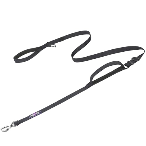 Hotsky Heavy Duty Dog Leash with Two Padded Handles,4.5-6 FT Adjustable Nylon Seatbelt Dog Leash with Traffic Handle and Carabiner for Large Medium and Small Breed Dogs that Pull,Black - color: No Bungee(4.5-6FT,All),Black, size: Standard