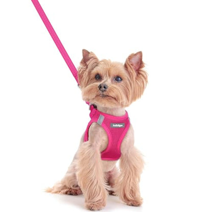 rabbitgoo Dog Harness Small Sized and Leash Set, Step in Soft Light Puppy Vest, Breathable Mesh Pet Harness, Reflective for Safe Easy Walking, Rose Red XXS - color: Rose Red, size: Xxs (chest: 12.4 - 14.2")