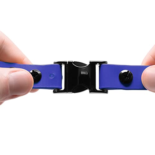 Educator 3/4-Inch Dog Training Collar Strap–ONLY Fits ME-300, ET-300/400, EZ-900, PE-900 & PG-300 Receivers – NOT Compatible with FE-580, ET-800 or UL-1200–Quick Snap Biothane Bungee Collar, Blue - color: Blue