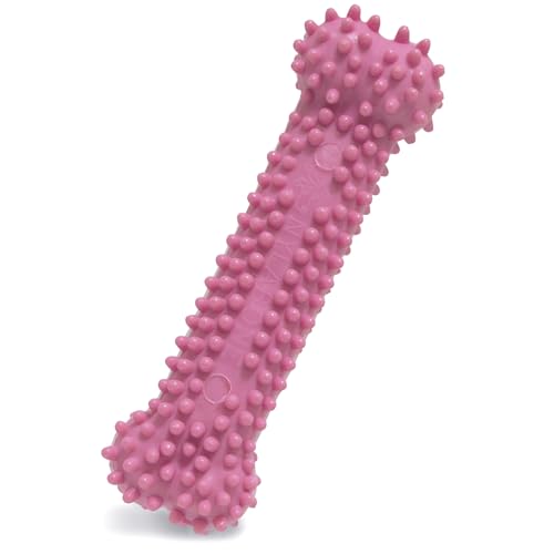 Nylabone Textured Teething Bone Puppy Chew Toy, Soothing Puppy Teething Bone, Enrichment Toy for Puppies, Pink, Chicken Flavor, X-Small Dogs - Up to 15 Ibs, 1 Count - color: Pink, size: X-Small
