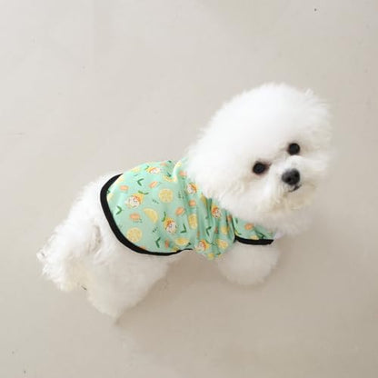 5 Pack Dog Cooling Shirts Breathable Instant Cooling Dogs Vest Lightweight for Summer Dog Clothes cat Clothes (M) - size: Medium