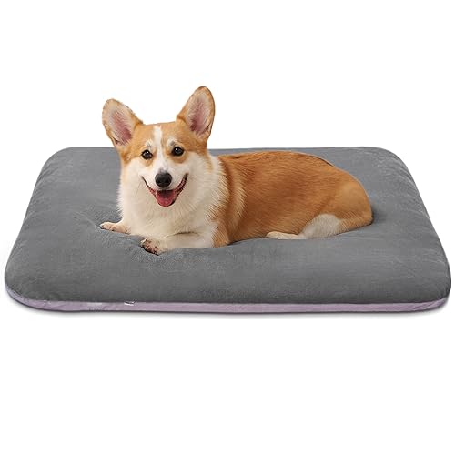 Super Soft Medium Dog Bed, 32 Inches Orthopedic Foam Pet Beds with Anti Slip Bottom, Dog Sleeping Mattress with Removable and Washable Cover, Grey M,32'' X 24'' X 3'' - color: Grey, size: 32.0"L x 24.0"W x 3.0"Th