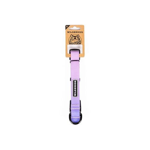 Wilderdog Waterproof Dog Collar – Repels Water & Dirt - Small 11"-15" - Aurora - color: Aurora, size: Small